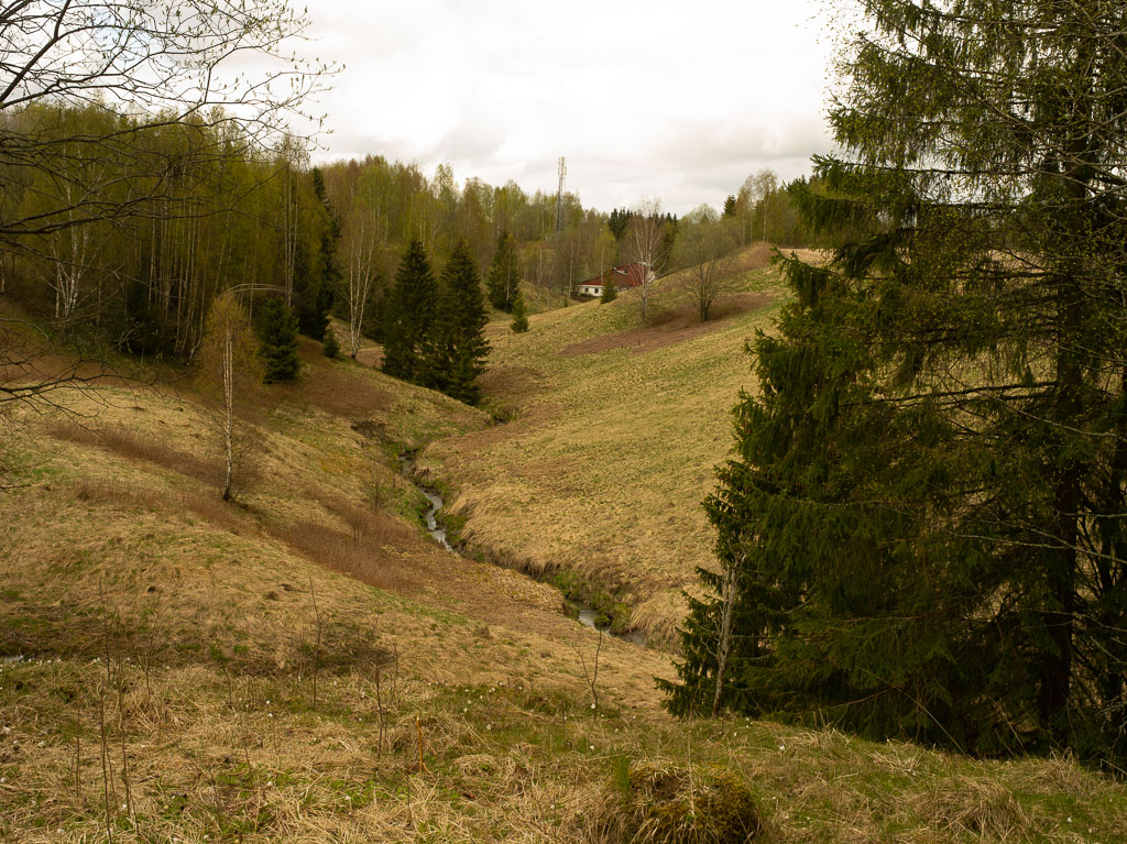 Pentax 645D / 1 Pentax 645D   1