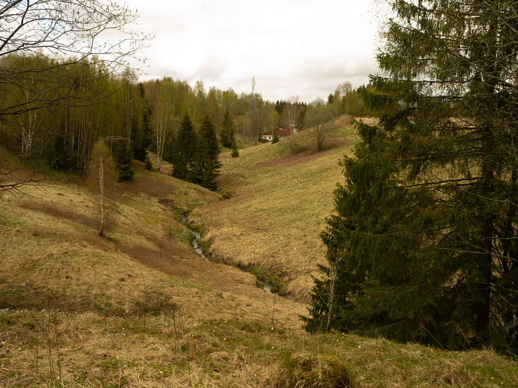 Pentax 645D / 1 Pentax 645D   1