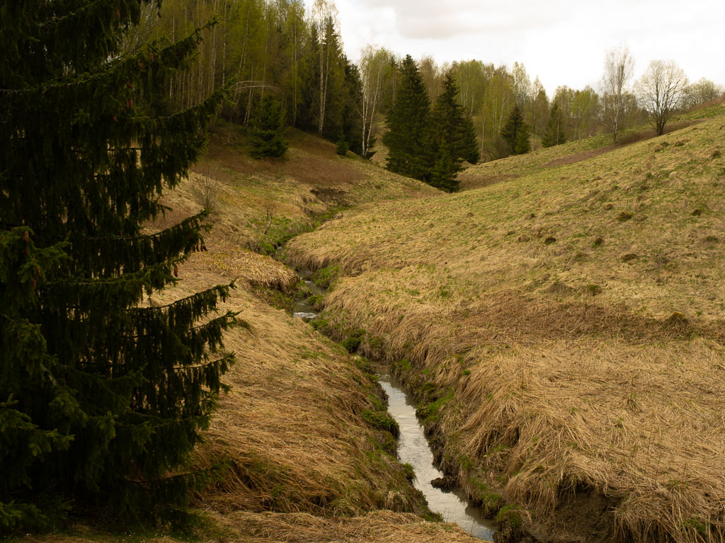 Pentax 645D / 1 Pentax 645D   1