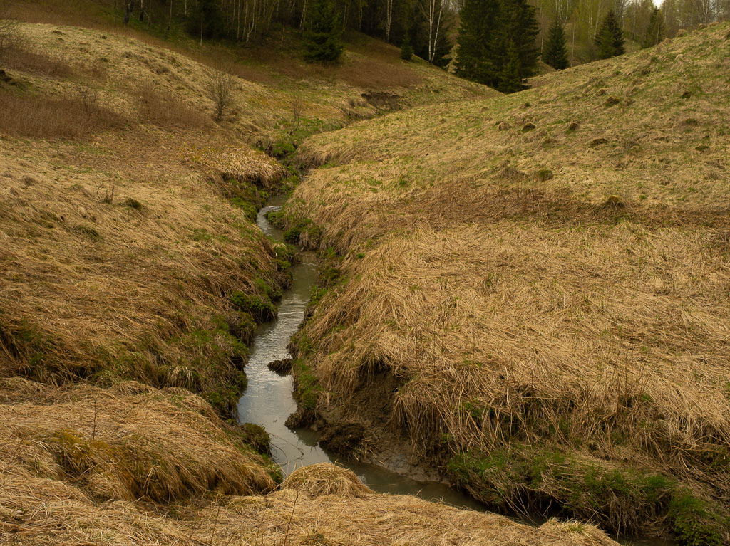 Pentax 645D / 1 Pentax 645D   1