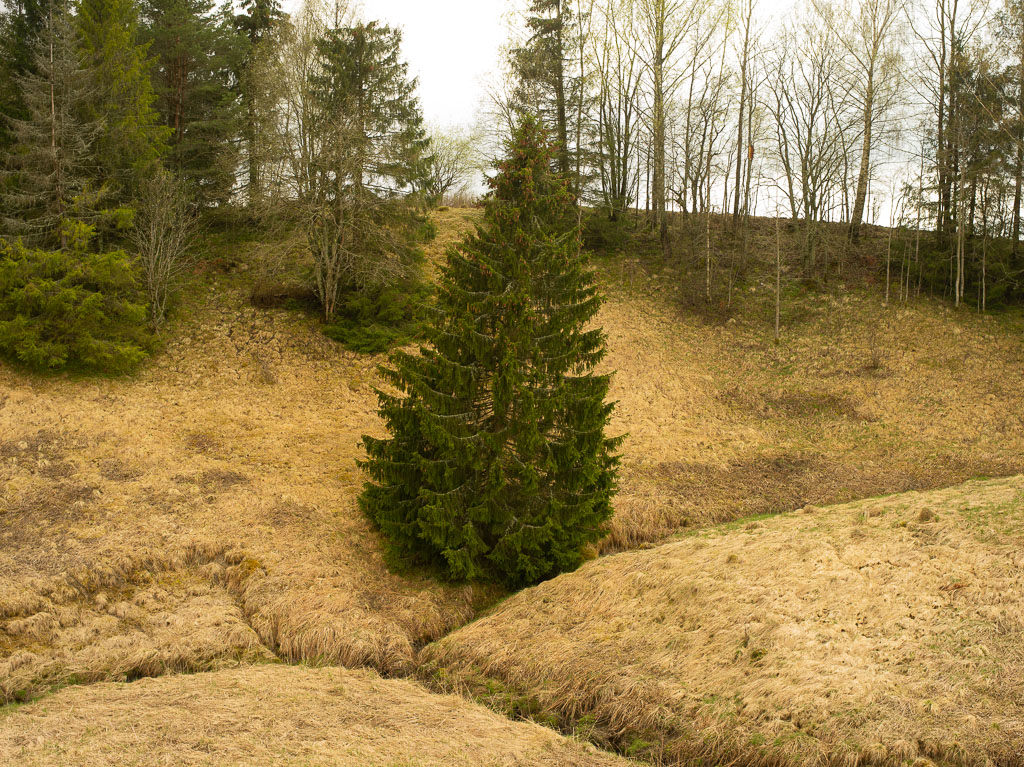 Pentax 645D / 1 Pentax 645D   1