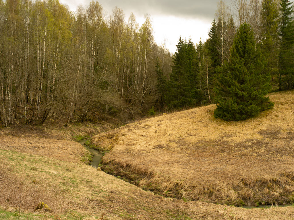 Pentax 645D / 1 Pentax 645D   1