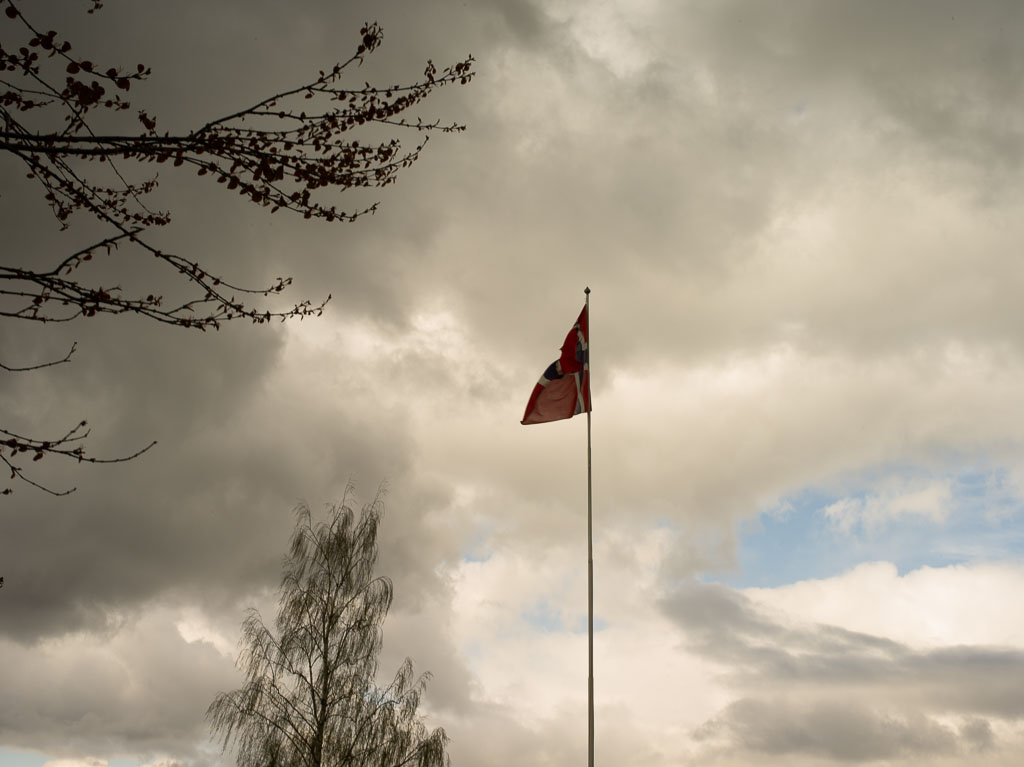 Pentax 645D / 1 Pentax 645D   1