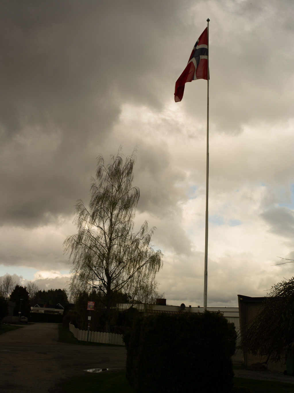 Pentax 645D / 1 Pentax 645D   1