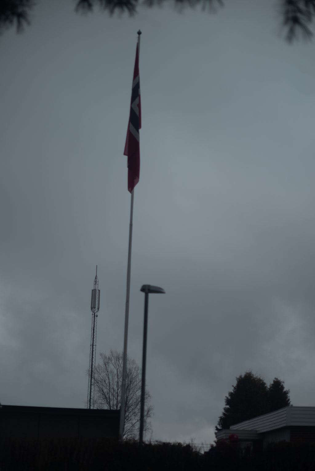 Pentax K-1 / 1 Pentax K-1   1