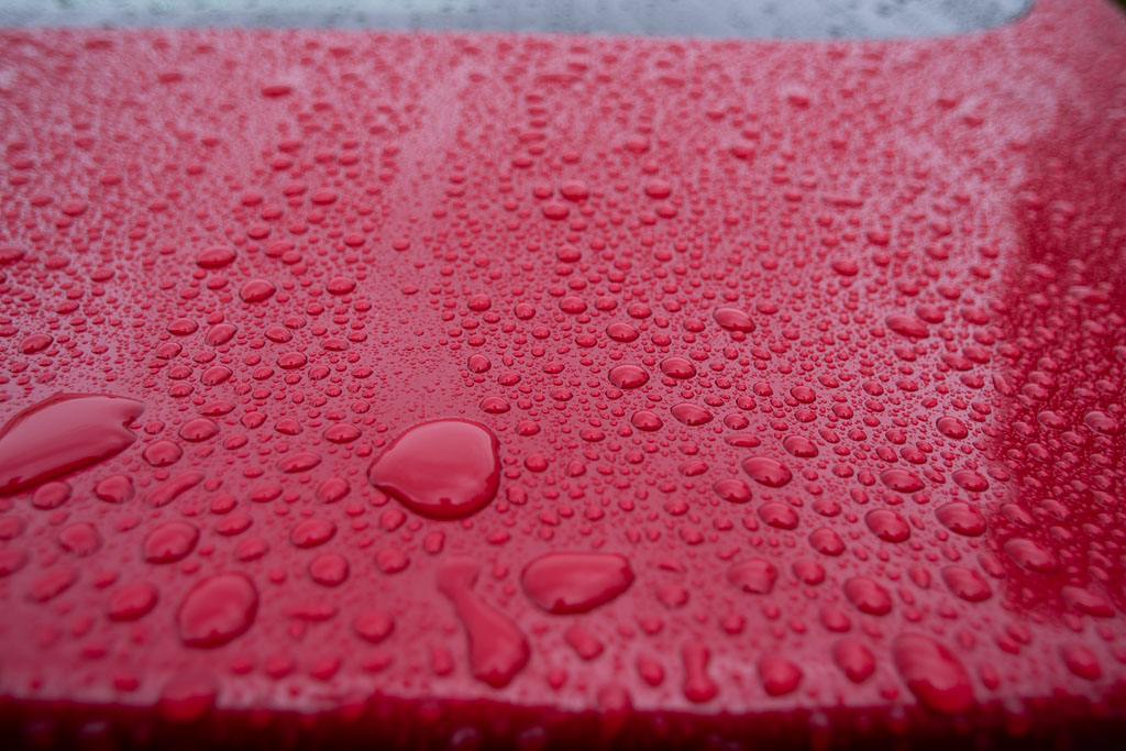 Pentax K-1 / 1 Pentax K-1   1