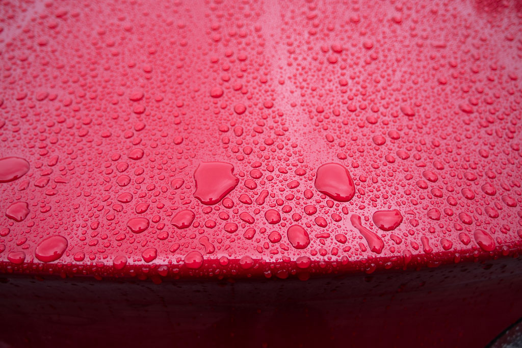 Pentax K-1 / 1 Pentax K-1   1