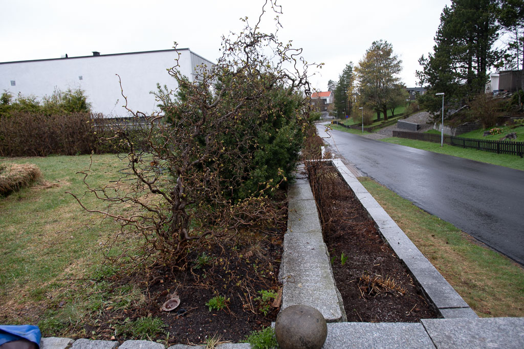 Pentax K-1 / 1 Pentax K-1   1