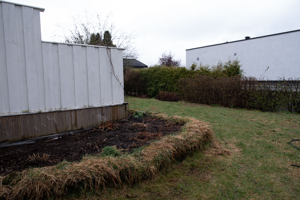 Pentax K-1 / 1 Pentax K-1   1