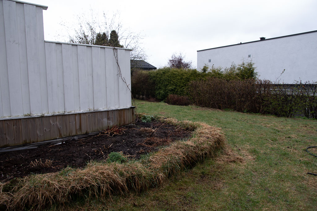 Pentax K-1 / 1 Pentax K-1   1