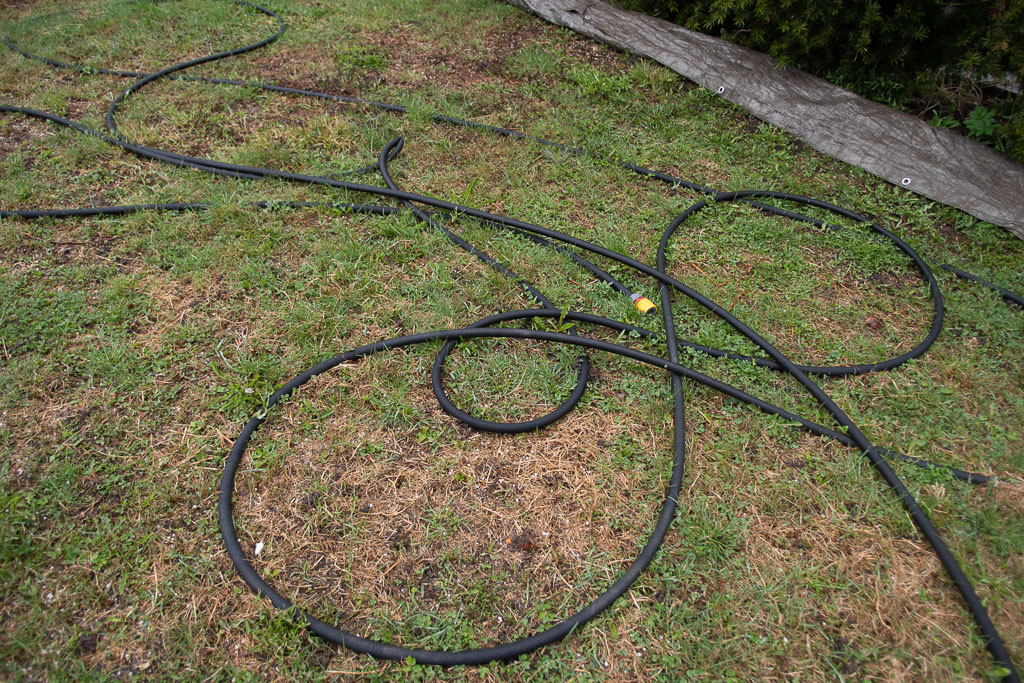 Pentax K-1 / 1 Pentax K-1   1