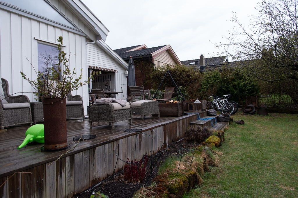 Pentax K-1 / 1 Pentax K-1   1