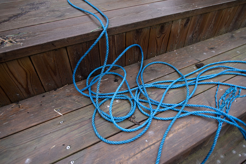 Pentax K-1 / 1 Pentax K-1   1