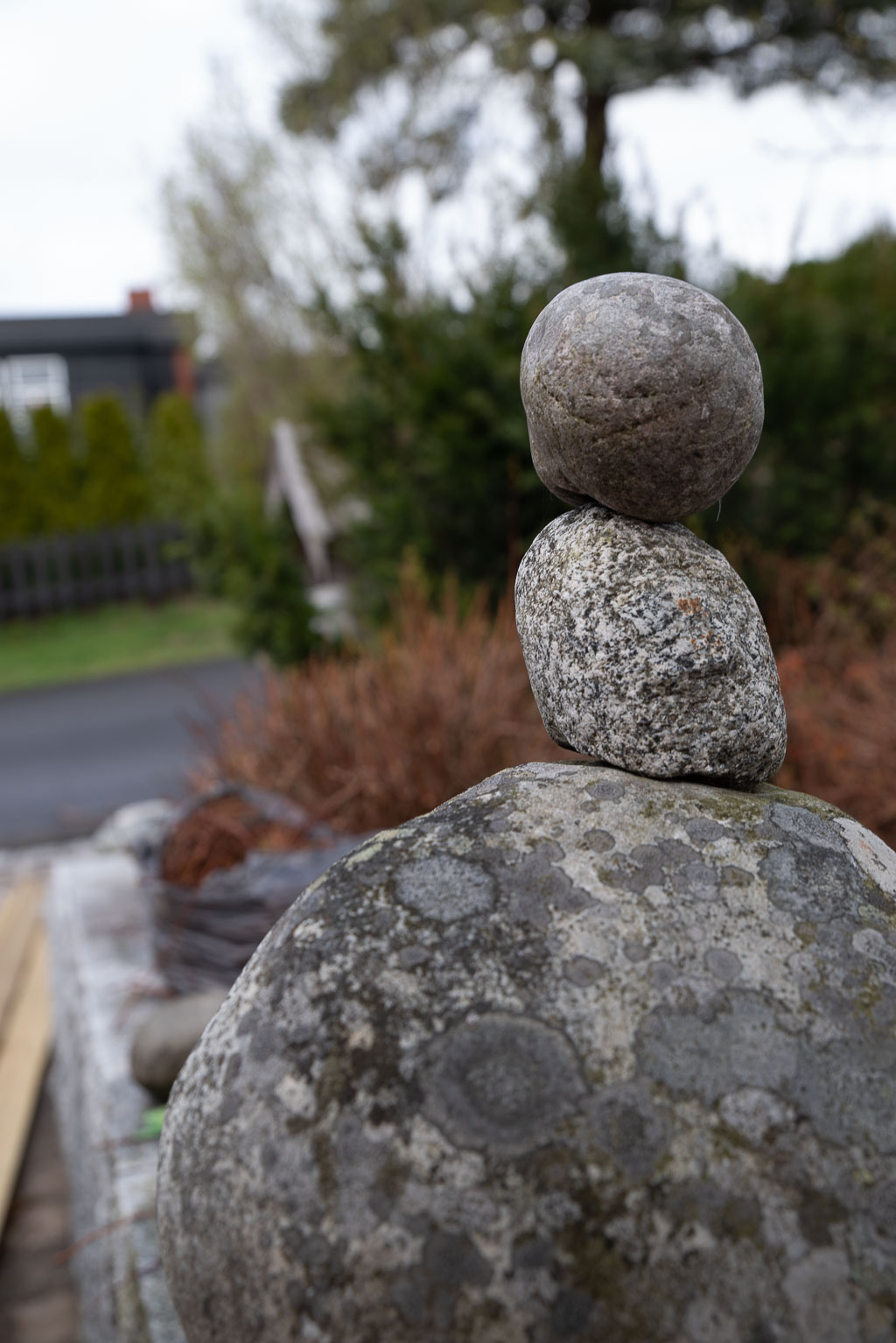 Pentax K-1 / 1 Pentax K-1   1