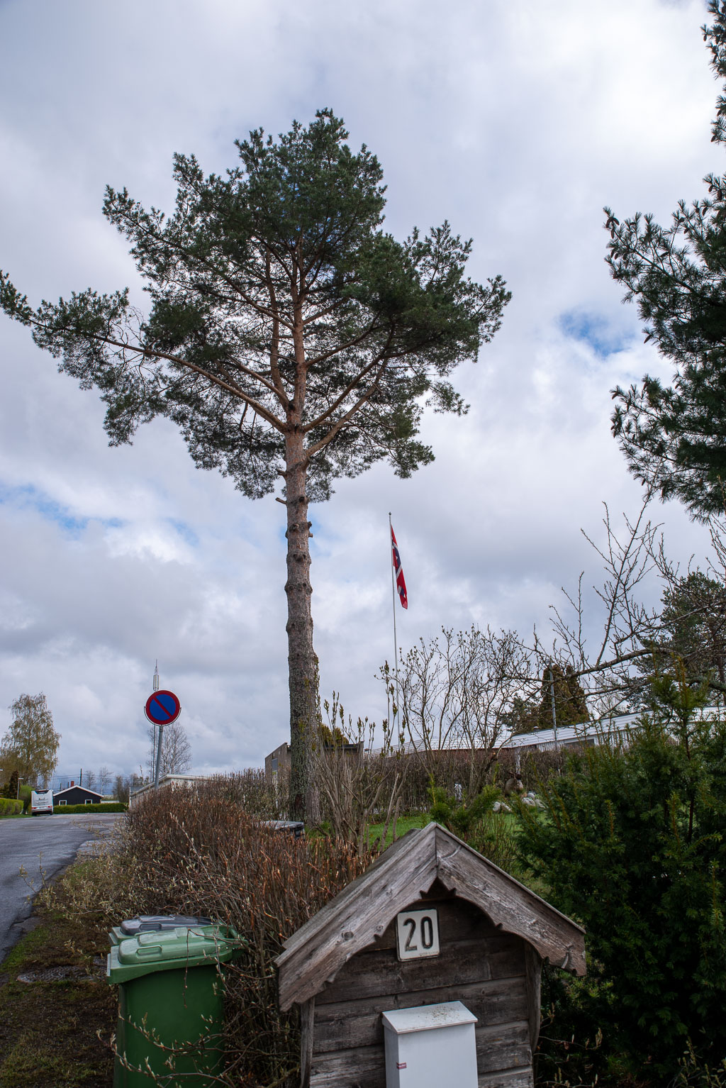 Pentax K-1 / 1 Pentax K-1   1