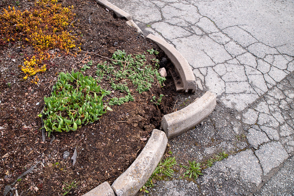 Pentax K-1 / 1 Pentax K-1   1