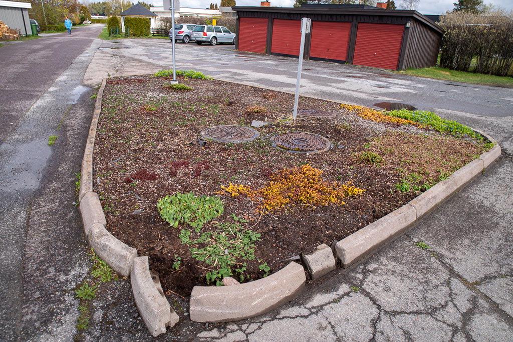 Pentax K-1 / 1 Pentax K-1   1