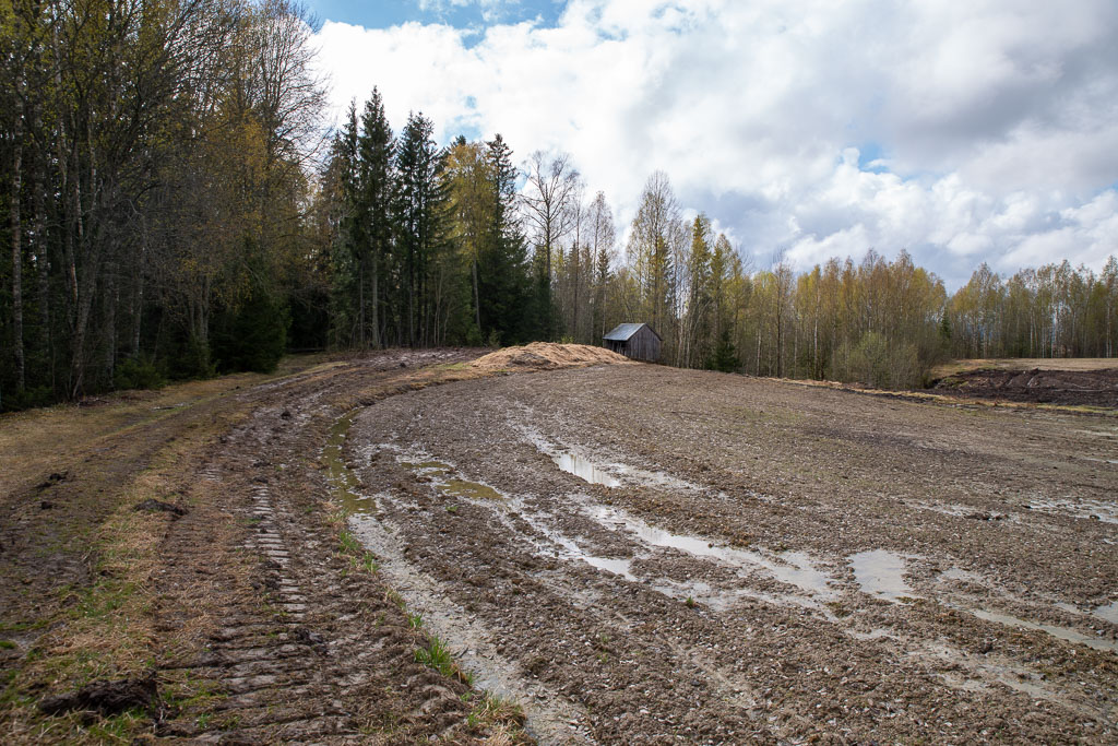 Pentax K-1 / 1 Pentax K-1   1