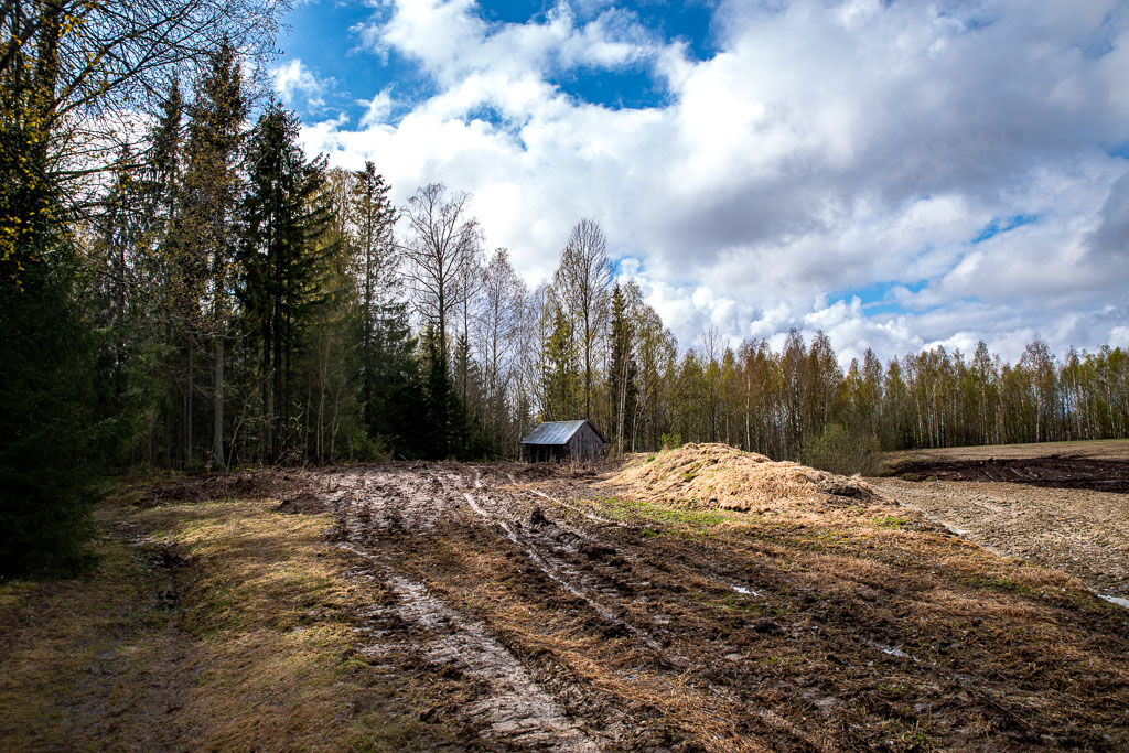 Pentax K-1 / 1 Pentax K-1   1
