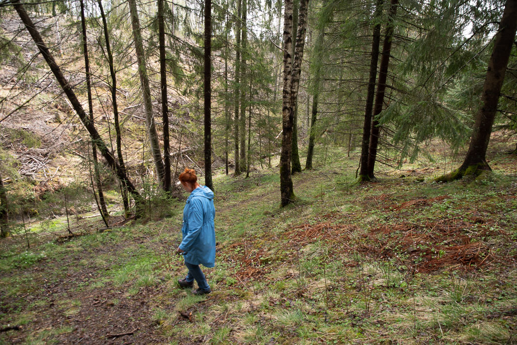 Pentax K-1 / 1 Pentax K-1   1