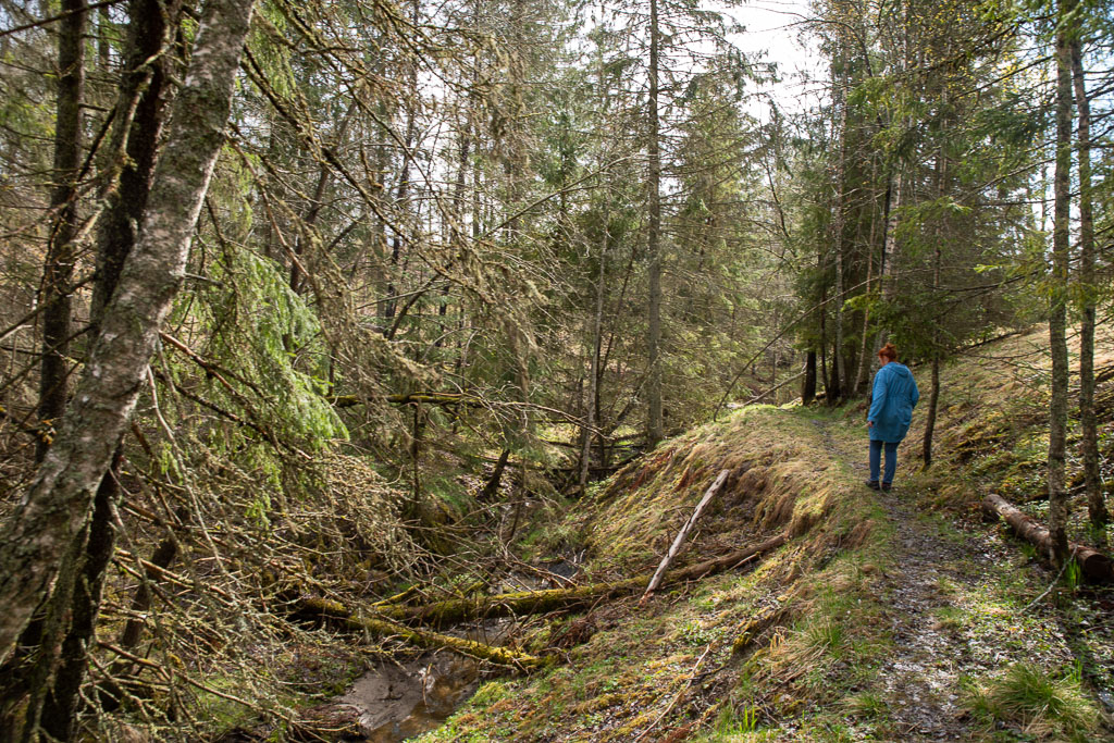Pentax K-1 / 1 Pentax K-1   1
