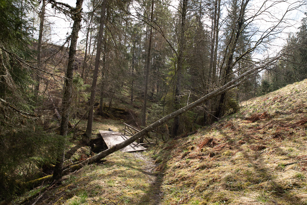 Pentax K-1 / 1 Pentax K-1   1