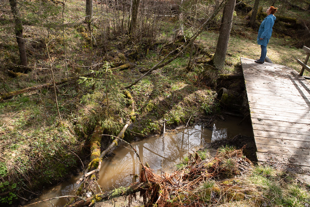 Pentax K-1 / 1 Pentax K-1   1