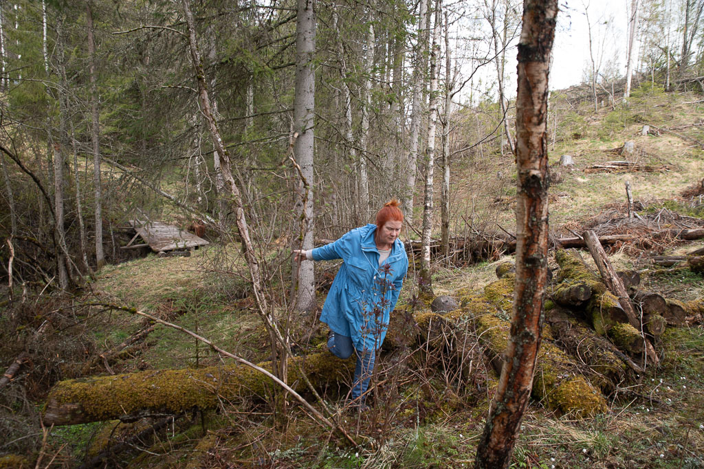 Pentax K-1 / 1 Pentax K-1   1