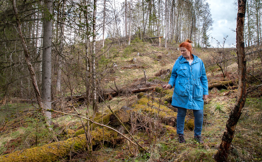 Pentax K-1 / 1 Pentax K-1   1