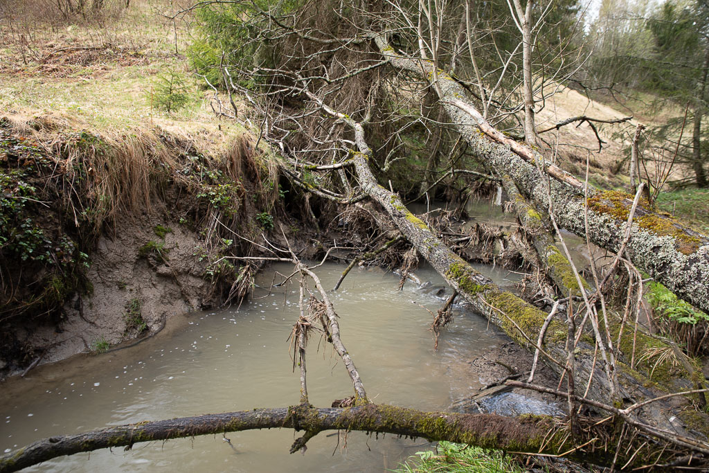 Pentax K-1 / 1 Pentax K-1   1