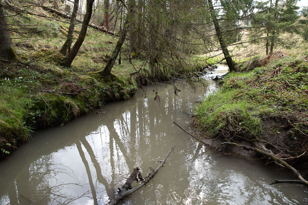 Pentax K-1 / 1 Pentax K-1   1