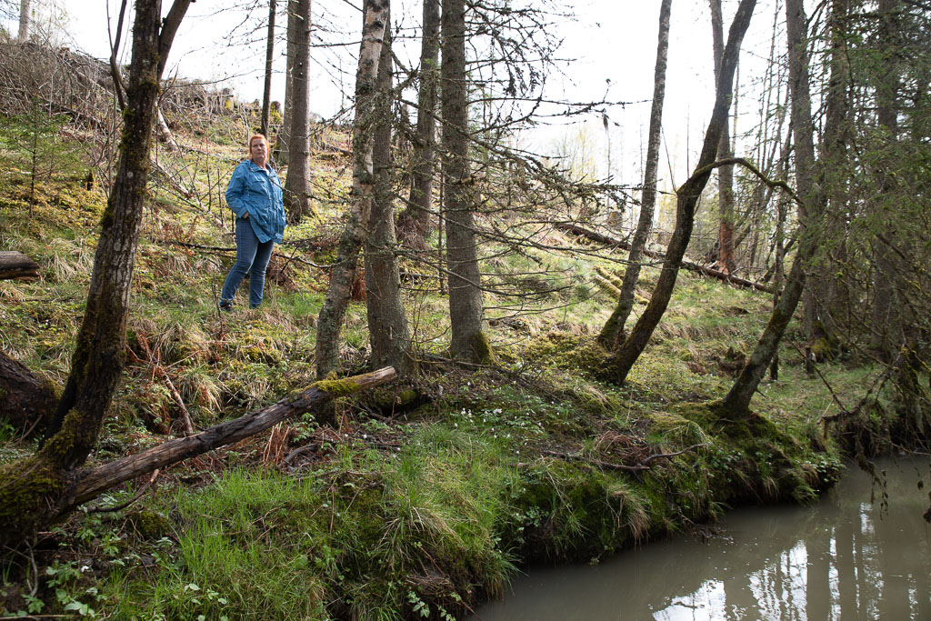 Pentax K-1 / 1 Pentax K-1   1