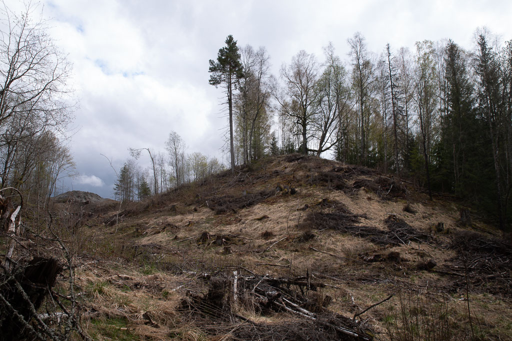 Pentax K-1 / 1 Pentax K-1   1