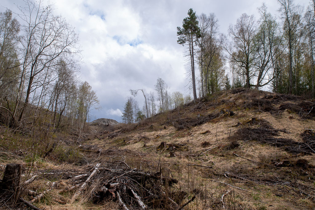 Pentax K-1 / 1 Pentax K-1   1