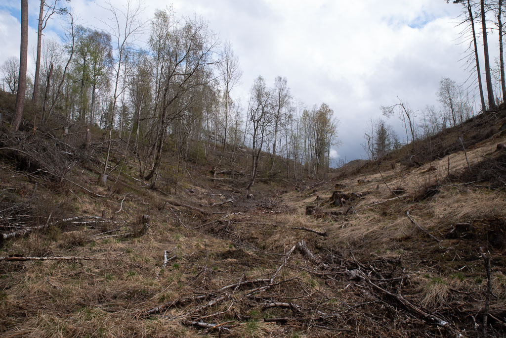 Pentax K-1 / 1 Pentax K-1   1