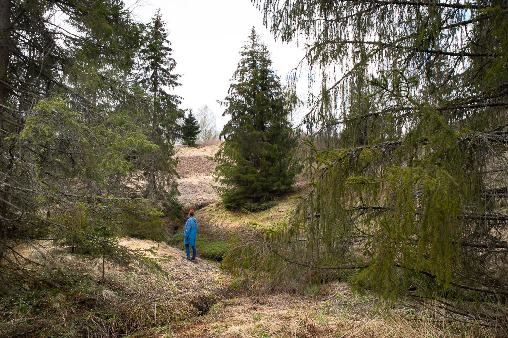 Pentax K-1 / 1 Pentax K-1   1