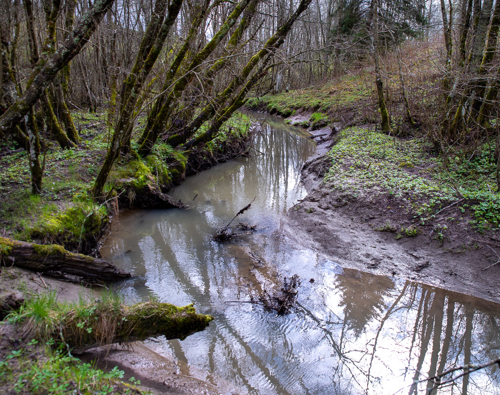 Pentax K-1 / 1 Pentax K-1   1