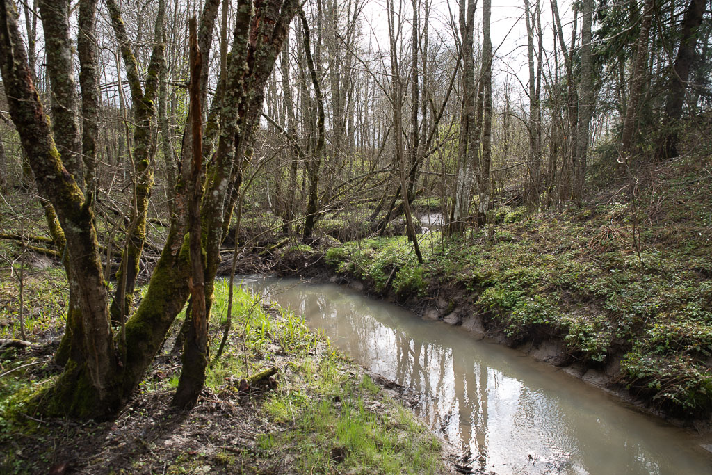 Pentax K-1 / 1 Pentax K-1   1