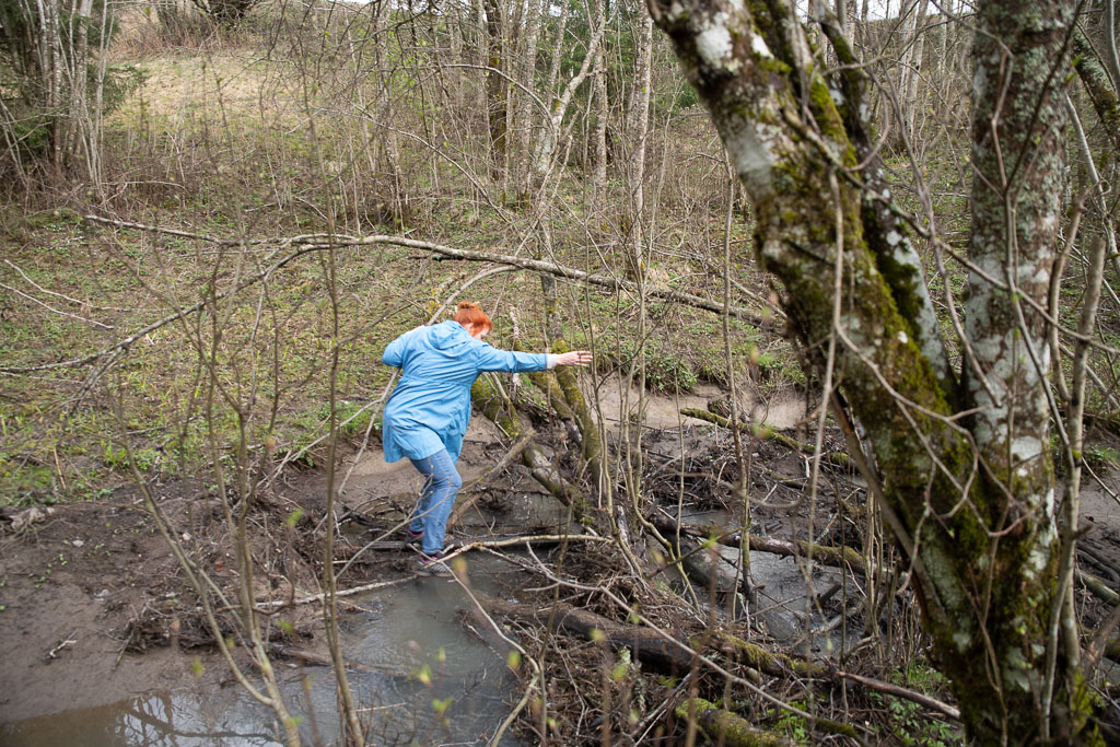 Pentax K-1 / 1 Pentax K-1   1