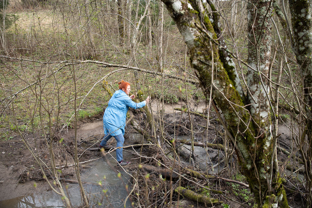 Pentax K-1 / 1 Pentax K-1   1