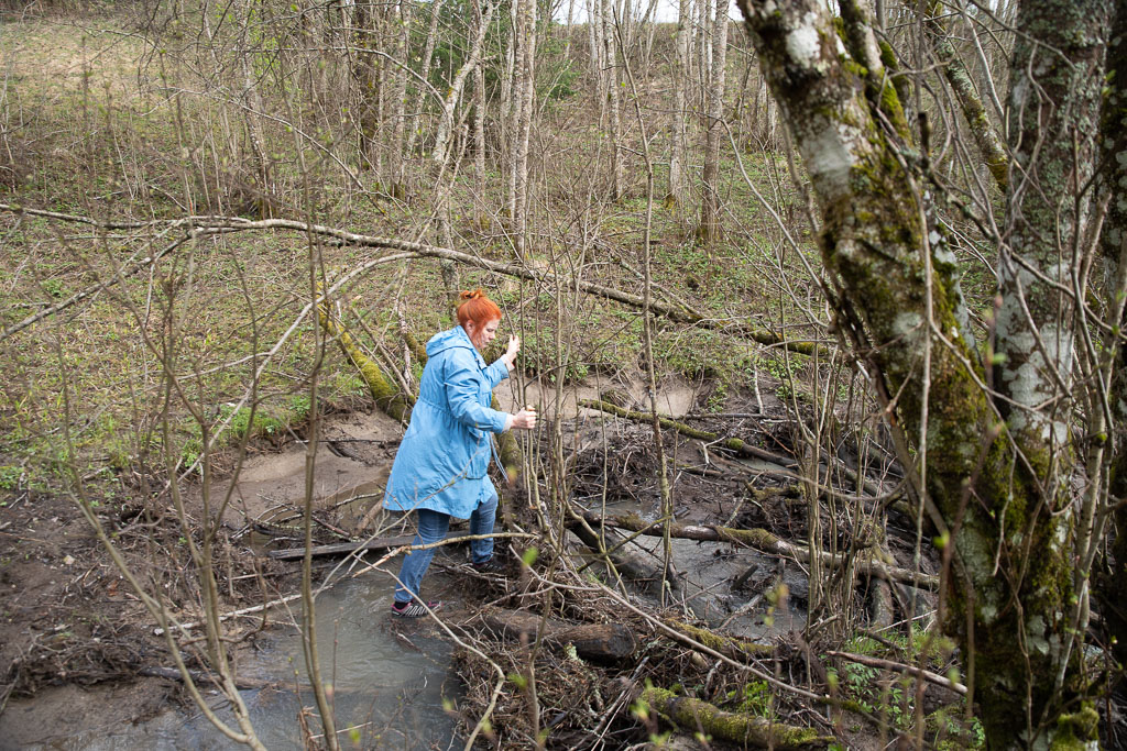 Pentax K-1 / 1 Pentax K-1   1