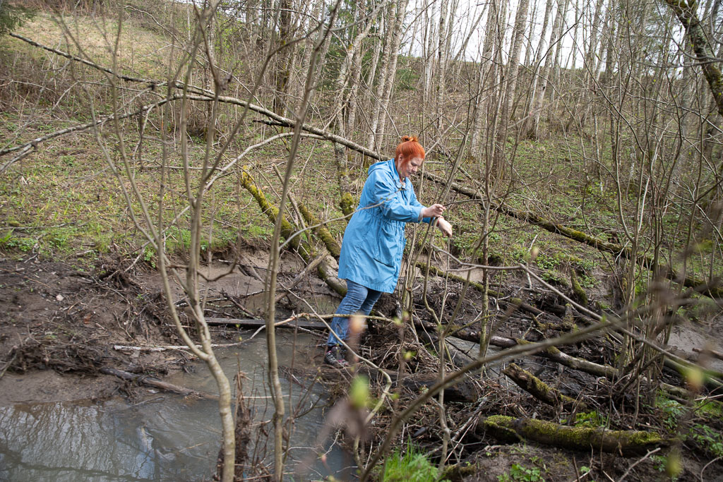 Pentax K-1 / 1 Pentax K-1   1