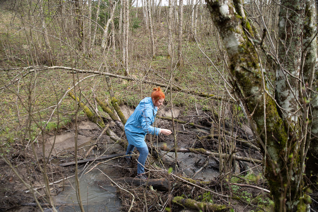 Pentax K-1 / 1 Pentax K-1   1