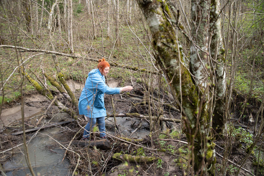 Pentax K-1 / 1 Pentax K-1   1
