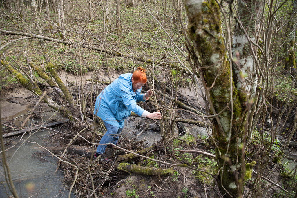 Pentax K-1 / 1 Pentax K-1   1