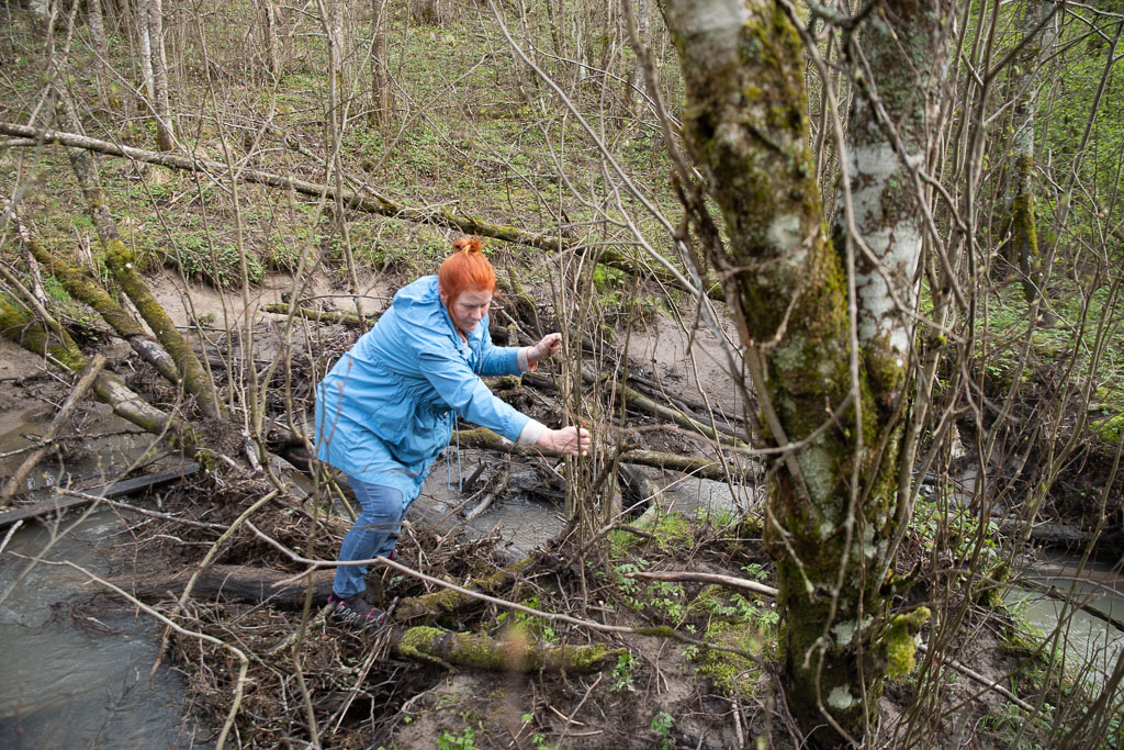 Pentax K-1 / 1 Pentax K-1   1