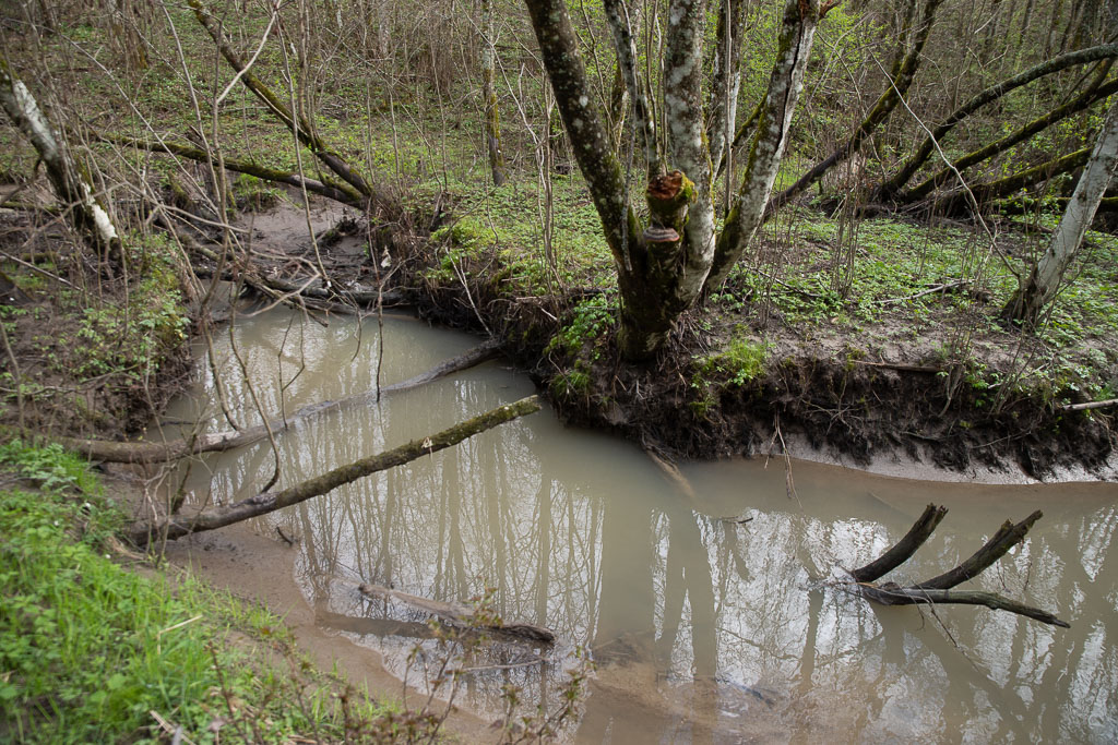 Pentax K-1 / 1 Pentax K-1   1