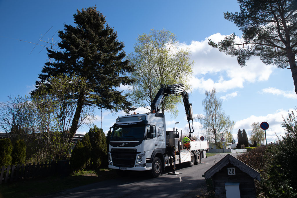 Pentax K-1 / 2 Pentax K-1   2