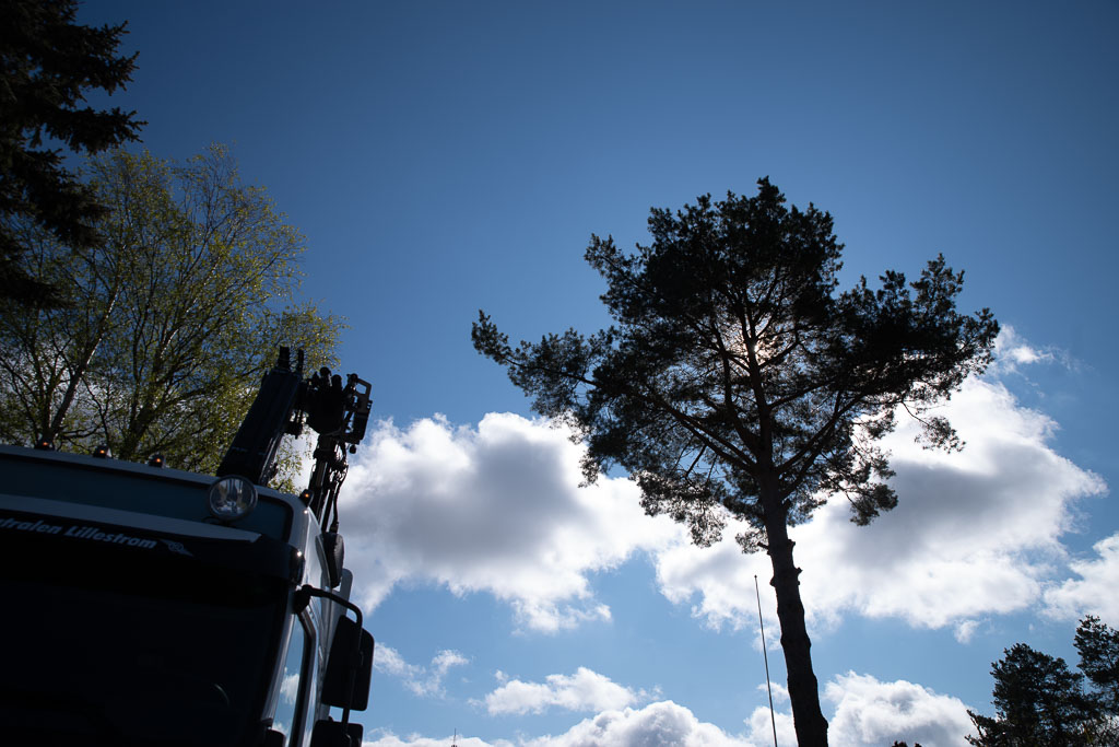 Pentax K-1 / 2 Pentax K-1   2