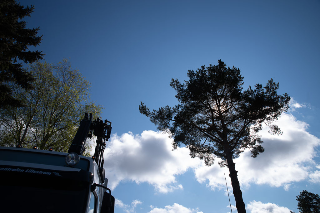 Pentax K-1 / 2 Pentax K-1   2